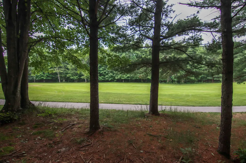 0000-UNIT 39 Trailside Drive Weldon Township MI 49683