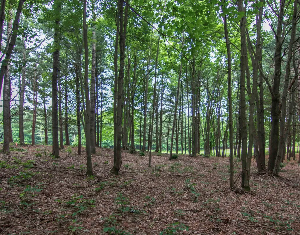 0000-UNIT 39 Trailside Drive Weldon Township MI 49683