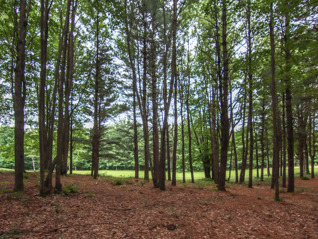 0000-UNIT 39 Trailside Drive Weldon Township MI 49683