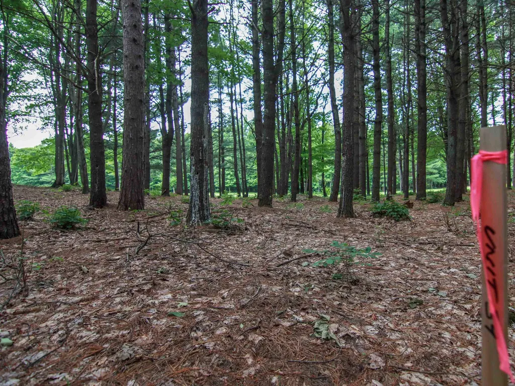 0000-UNIT 39 Trailside Drive Weldon Township MI 49683