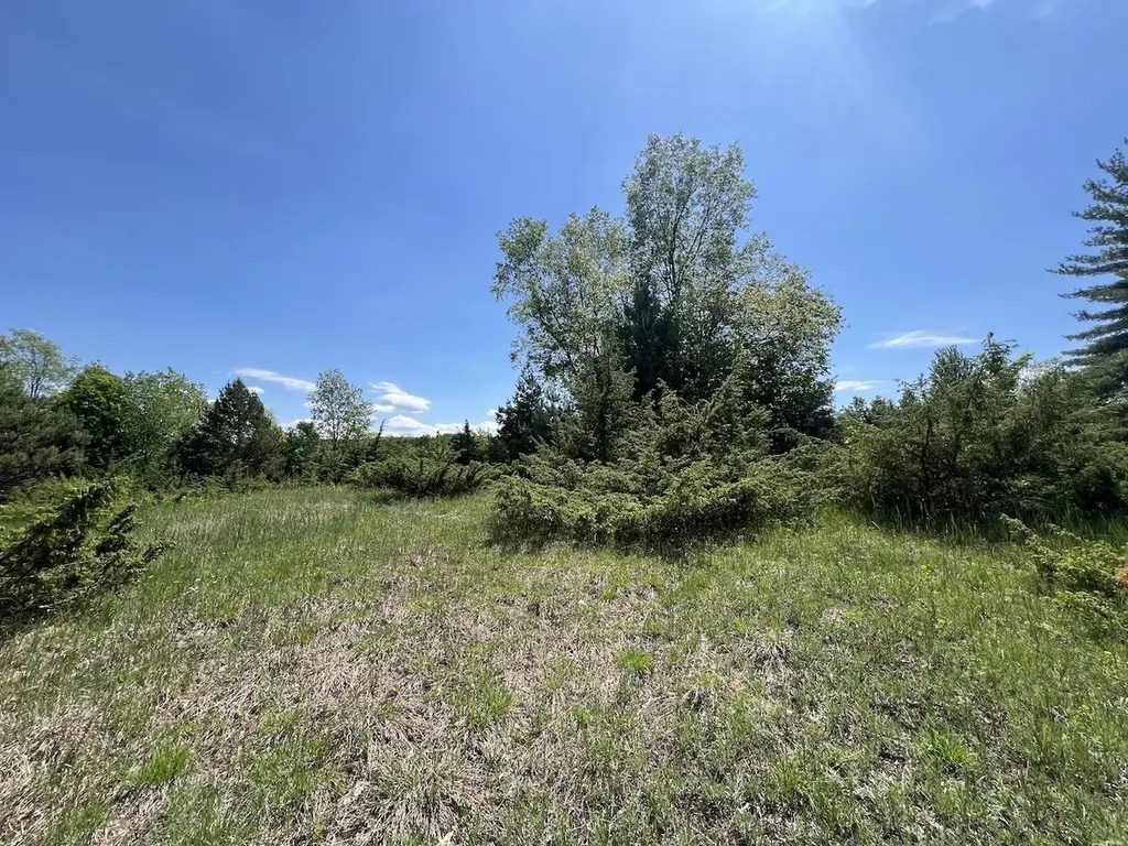 Unit 41 Talon Trace Kearney Township MI 49615