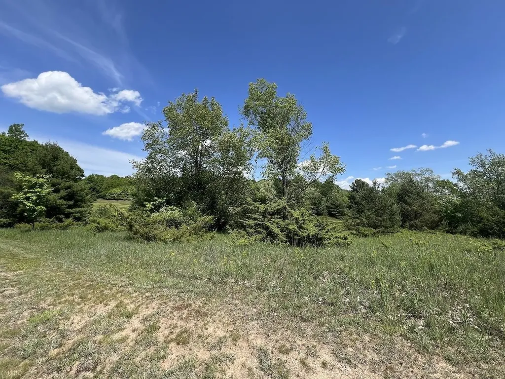 Unit 41 Talon Trace Kearney Township MI 49615