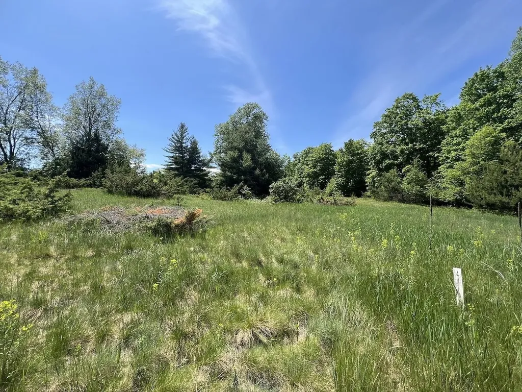 Unit 41 Talon Trace Kearney Township MI 49615
