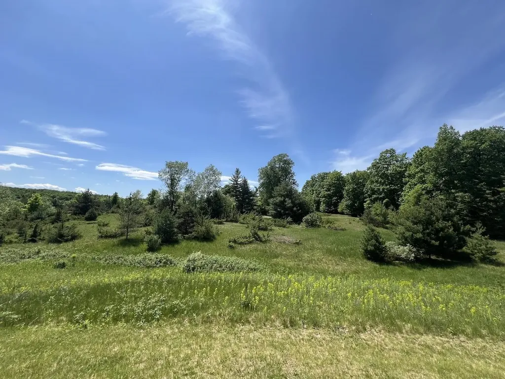 Unit 41 Talon Trace Kearney Township MI 49615