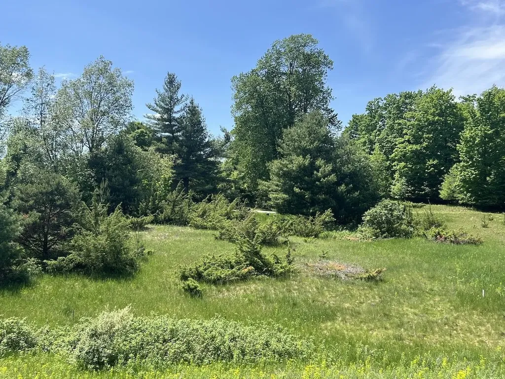 Unit 41 Talon Trace Kearney Township MI 49615