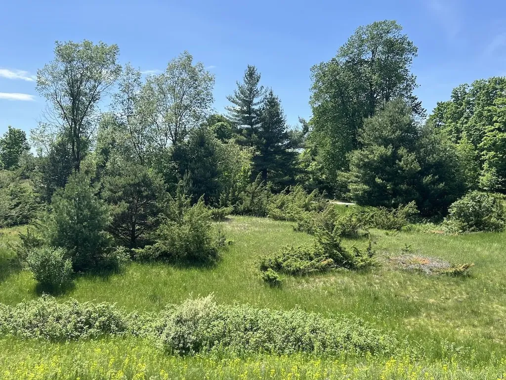 Unit 41 Talon Trace Kearney Township MI 49615