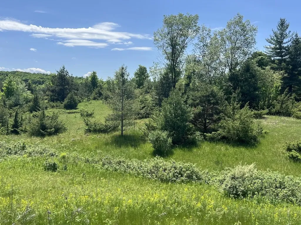 Unit 41 Talon Trace Kearney Township MI 49615