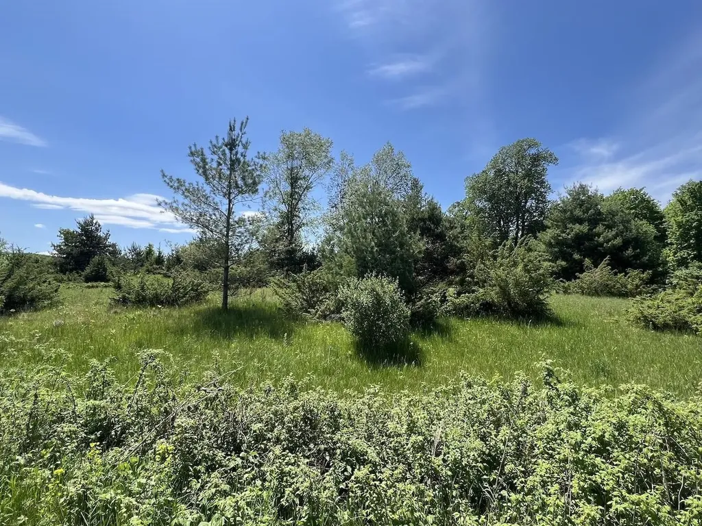 Unit 41 Talon Trace Kearney Township MI 49615