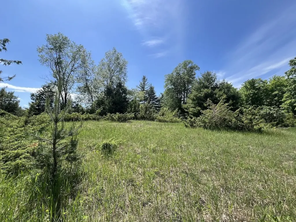 Unit 41 Talon Trace Kearney Township MI 49615