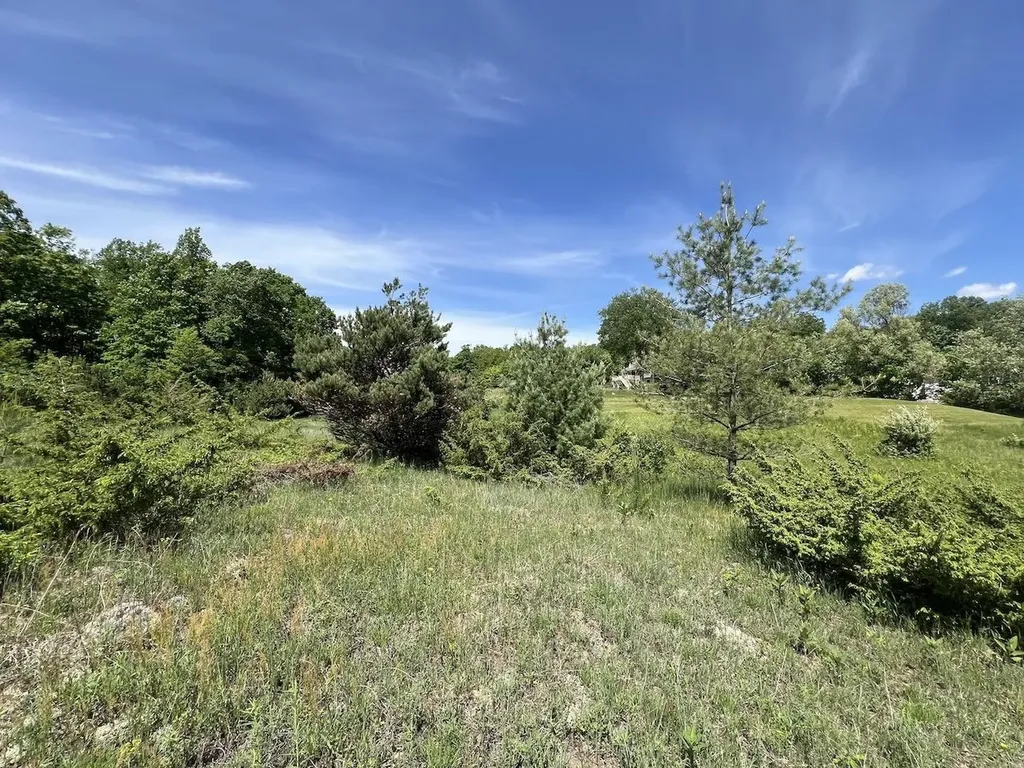 Unit 41 Talon Trace Kearney Township MI 49615