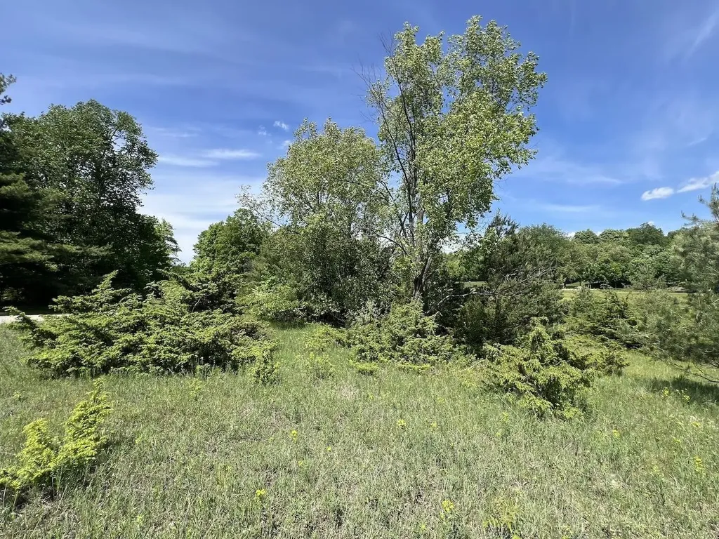 Unit 41 Talon Trace Kearney Township MI 49615