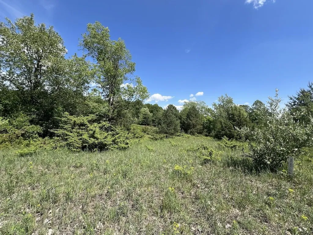 Unit 41 Talon Trace Kearney Township MI 49615