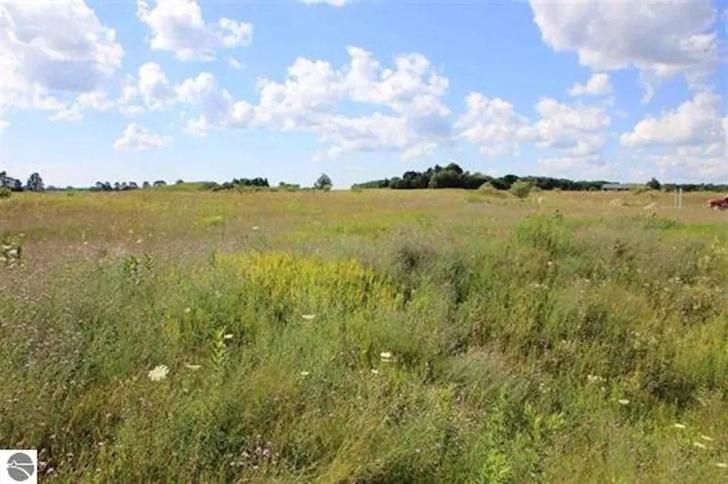 2211 Pebblebrook Drive Mayfield Township MI 49649