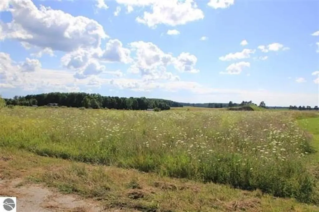 9110 Center Place Drive Mayfield Township MI 49649