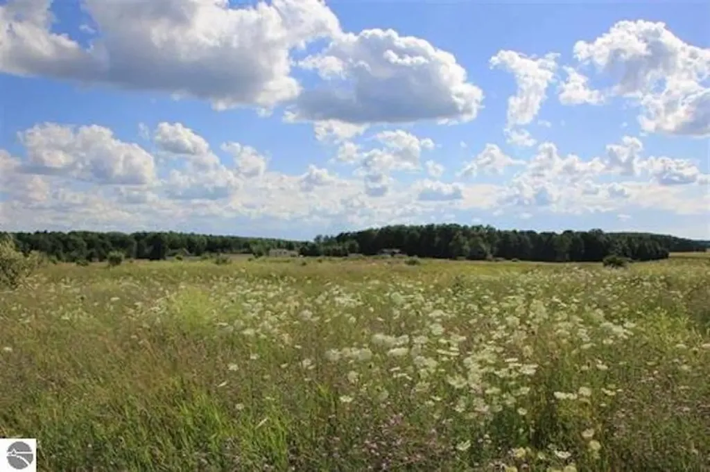 9110 Center Place Drive Mayfield Township MI 49649