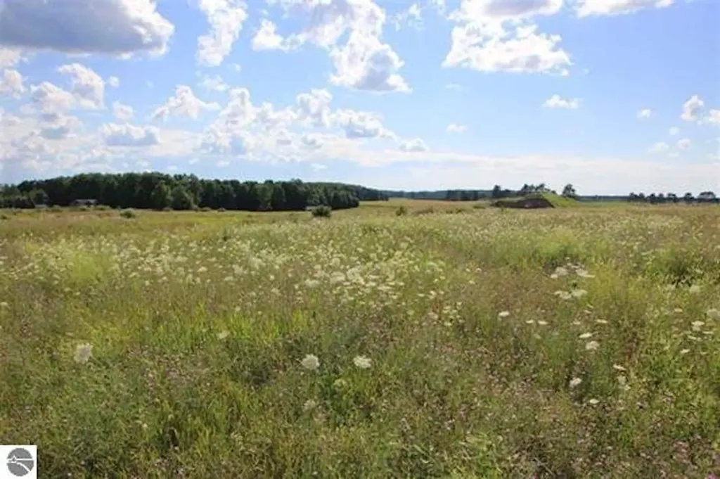 9110 Center Place Drive Mayfield Township MI 49649