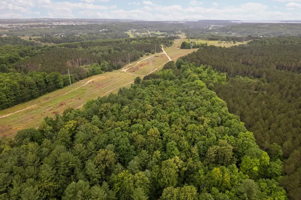 Parcel C Garn Road Blair Township MI 49685