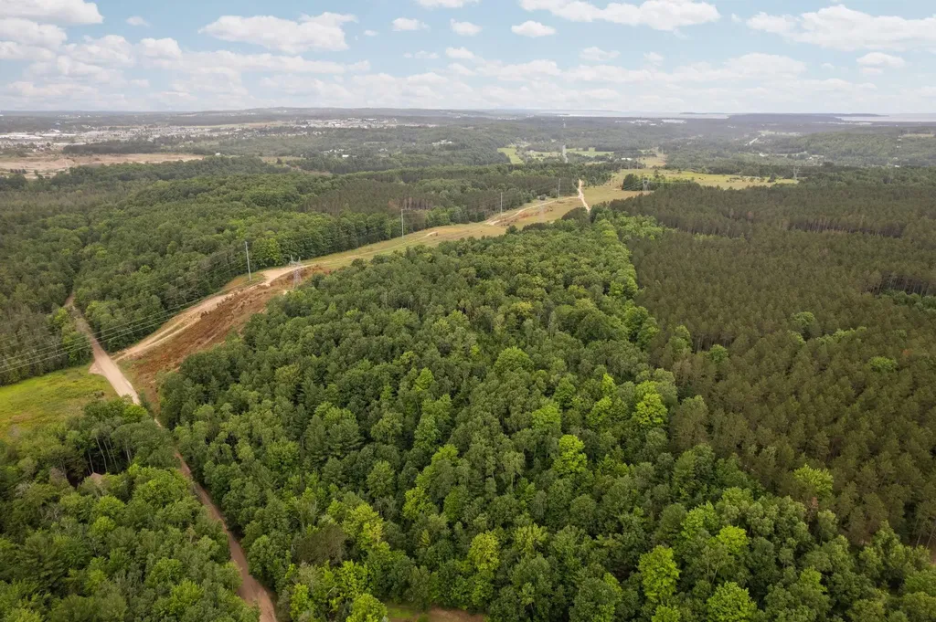Parcel C Garn Road Blair Township MI 49685
