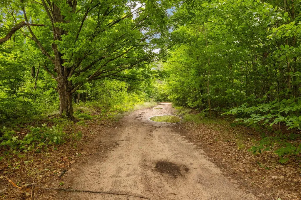Parcel C Garn Road Blair Township MI 49685