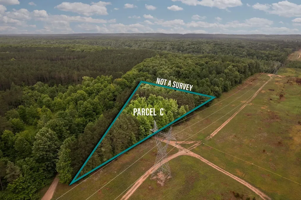 Parcel C Garn Road Blair Township MI 49685