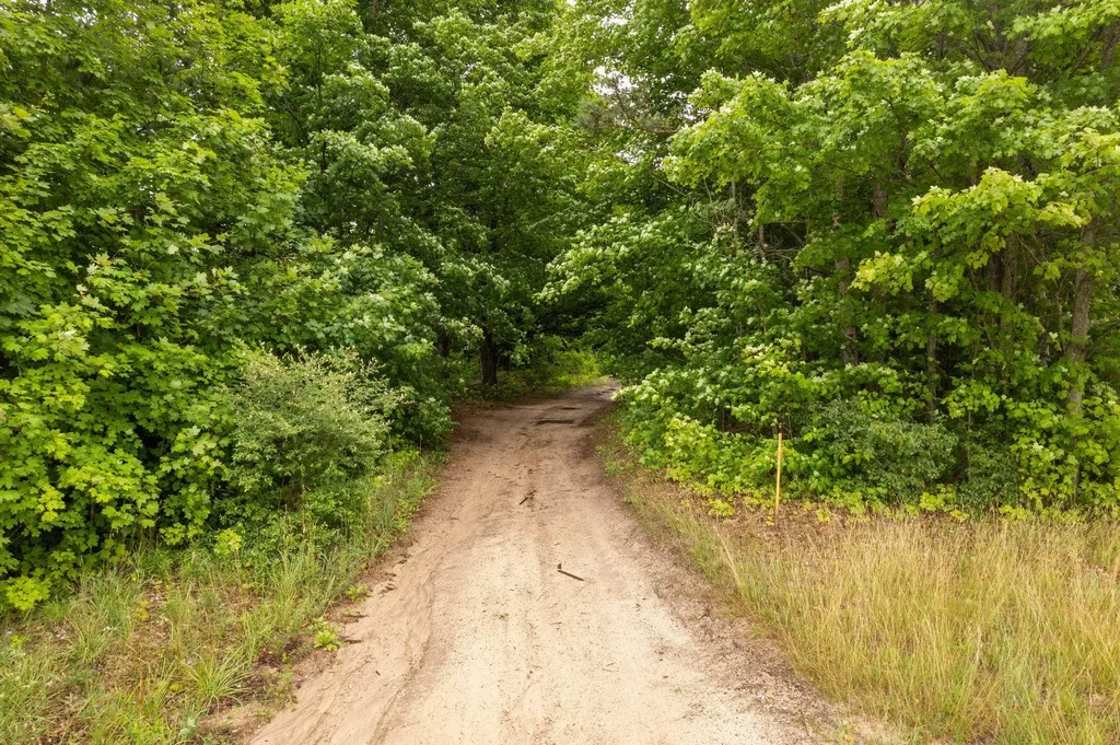 Parcel B Garn Road Blair Township MI 49685