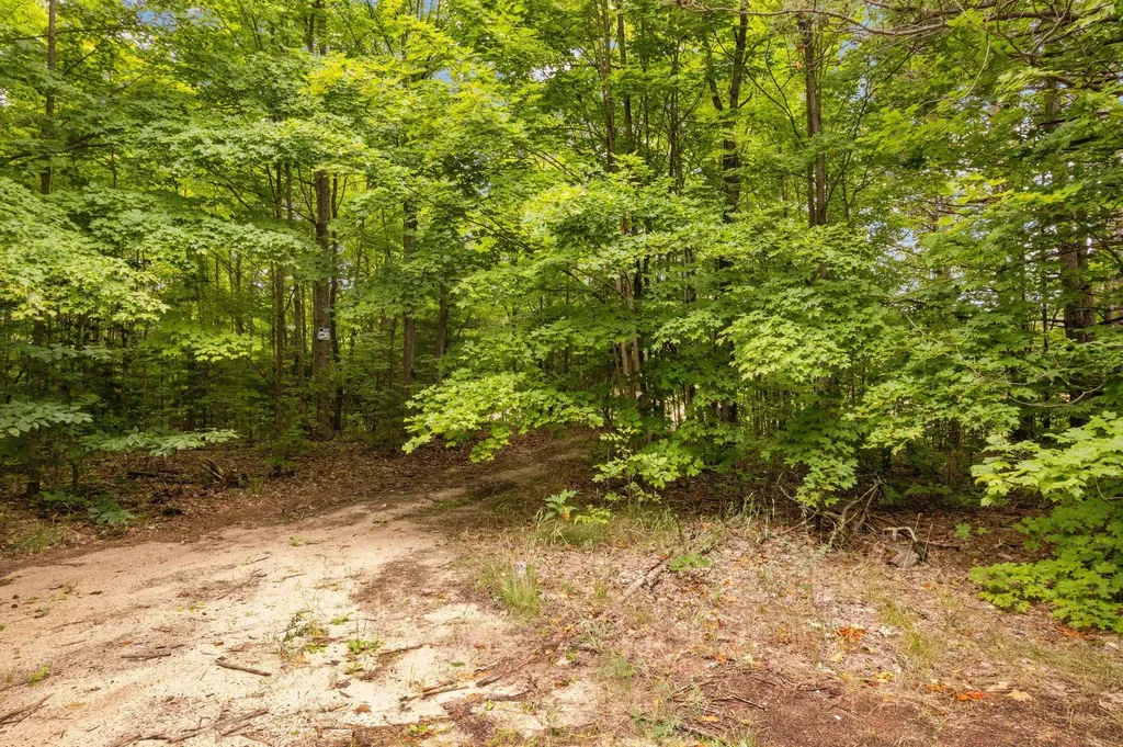 Parcel B Garn Road Blair Township MI 49685