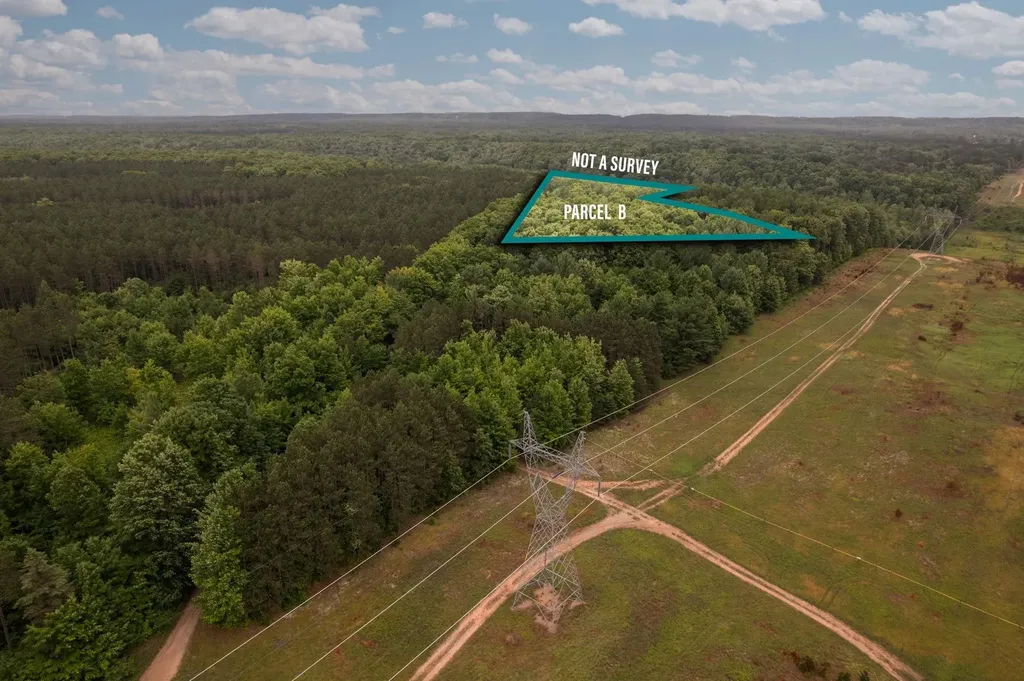 Parcel B Garn Road Blair Township MI 49685