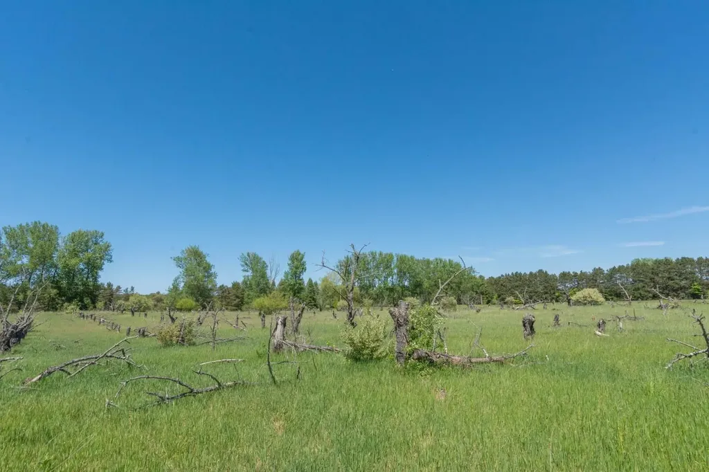 0000 W Ryant Road Cleveland Township MI 49664