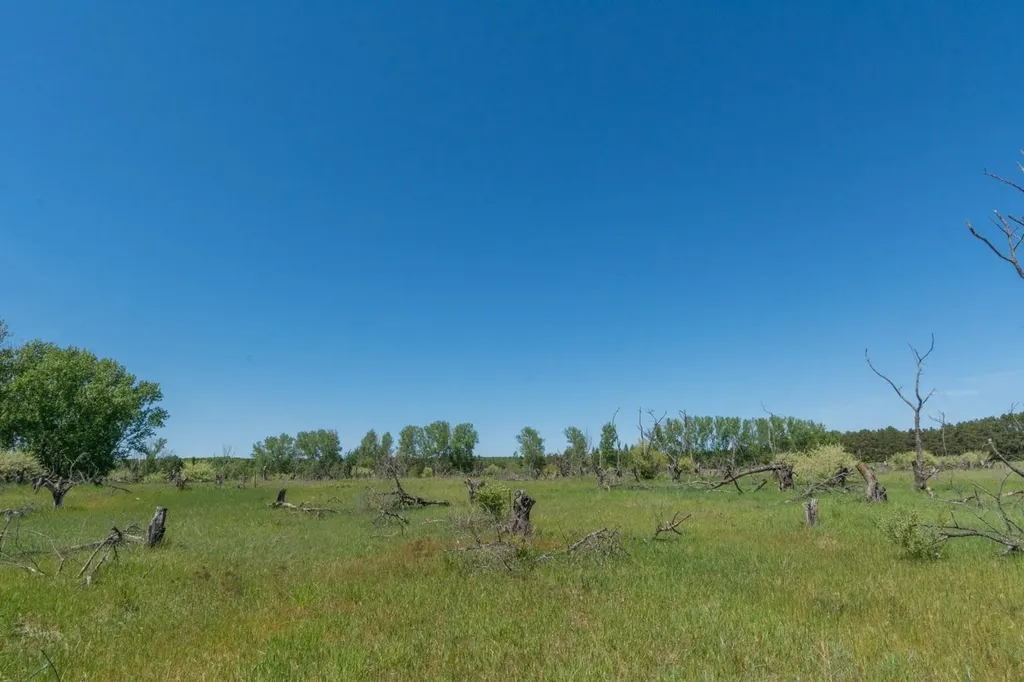 0000 W Ryant Road Cleveland Township MI 49664