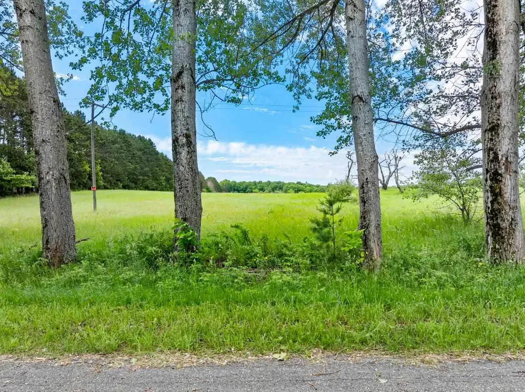 0000 W Ryant Road Cleveland Township MI 49664