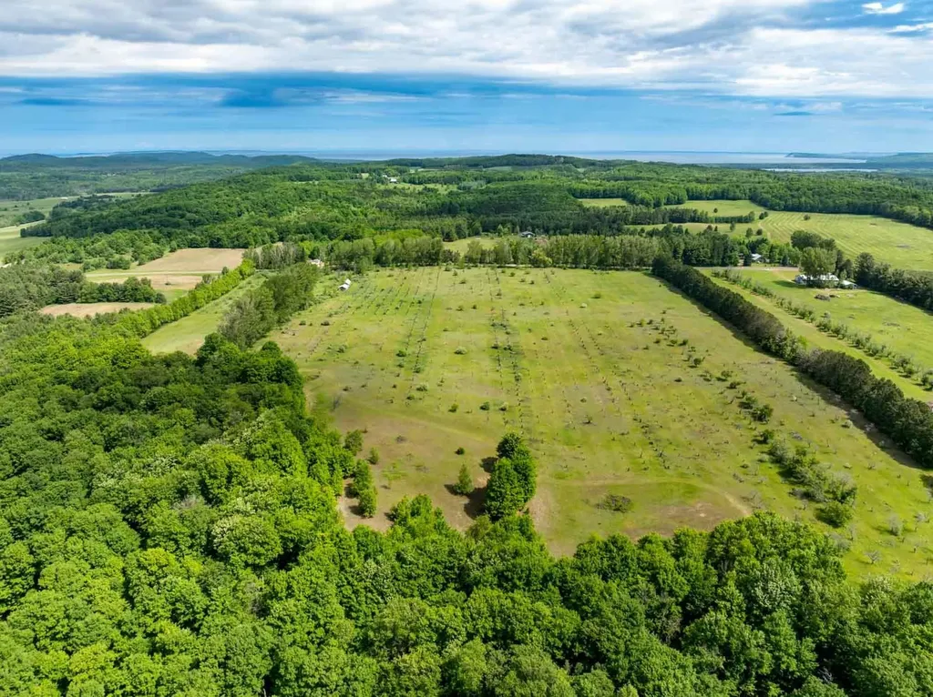 0000 W Ryant Road Cleveland Township MI 49664
