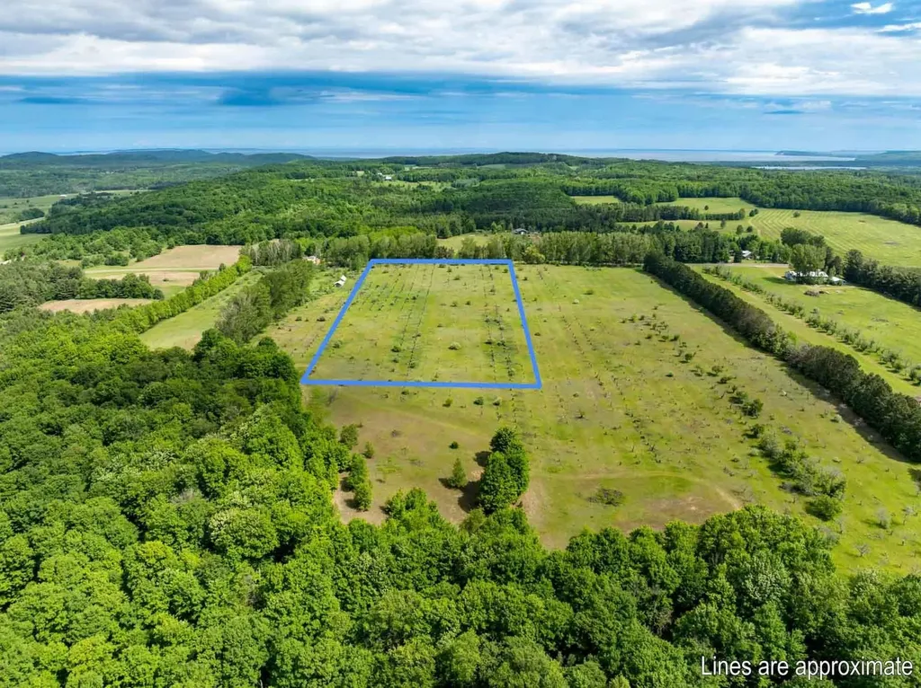 0000 W Ryant Road Cleveland Township MI 49664