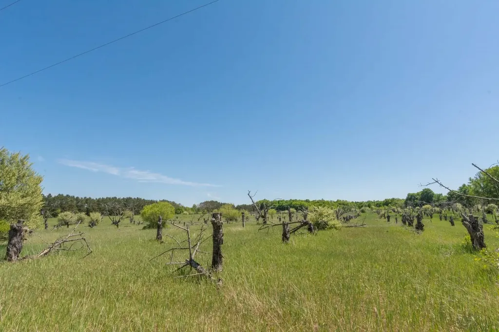0000 W Ryant Road Cleveland Township MI 49664