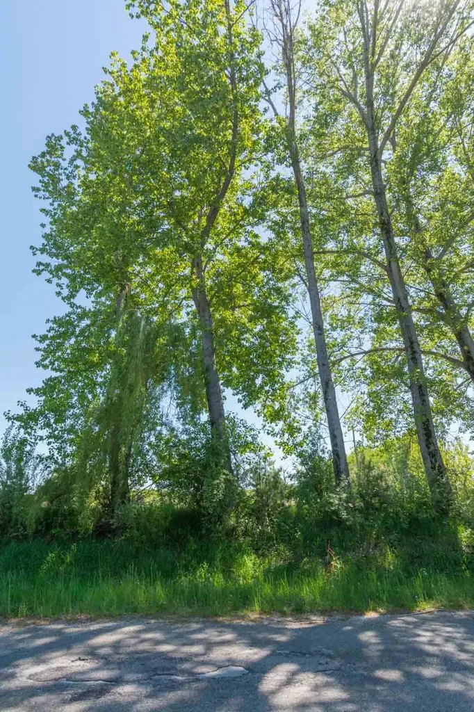 0000 W Ryant Road Cleveland Township MI 49664