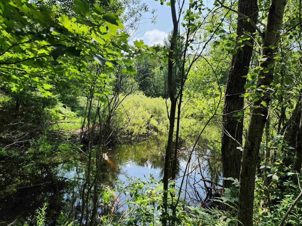 500 East Trail Orange Township MI 49646