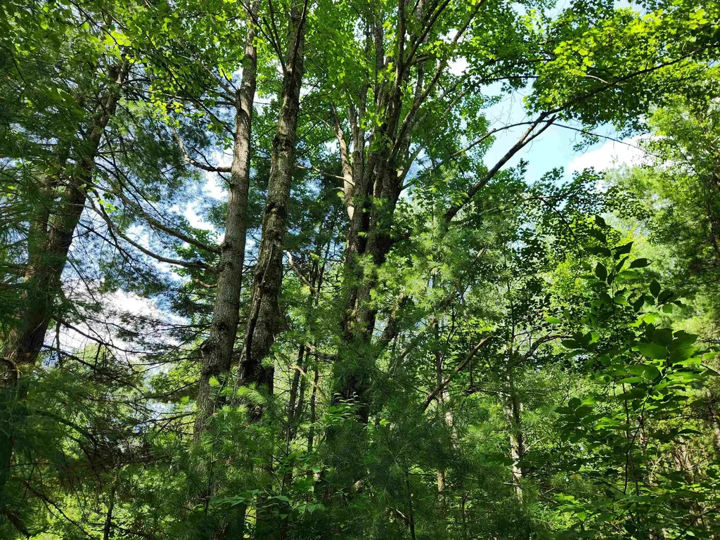 500 East Trail Orange Township MI 49646