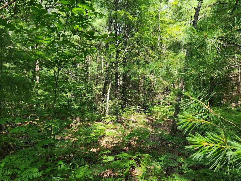 500 East Trail Orange Township MI 49646