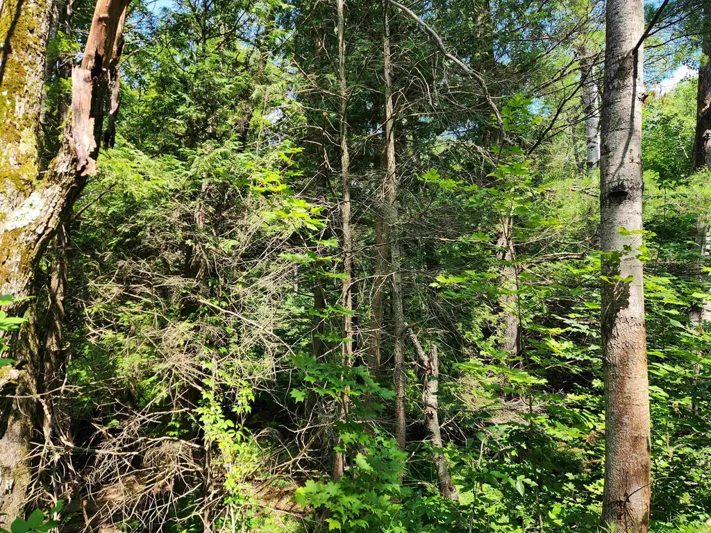 500 East Trail Orange Township MI 49646
