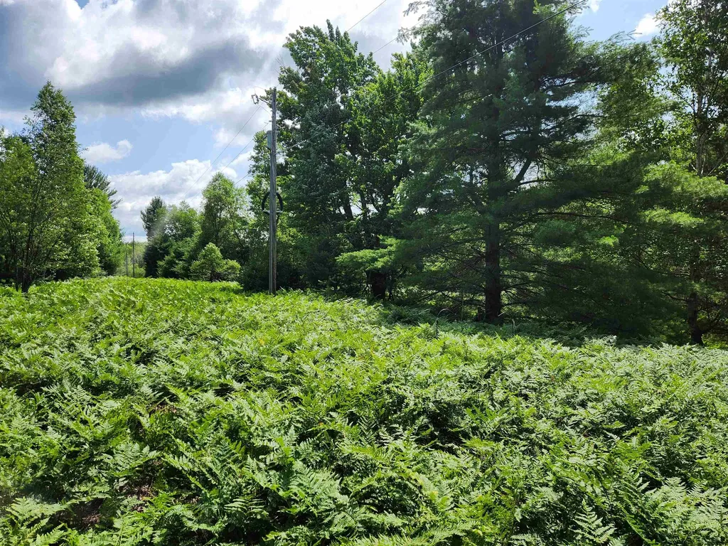 500 East Trail Orange Township MI 49646