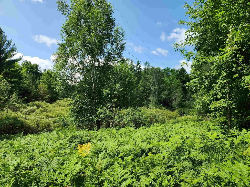 500 East Trail Orange Township MI 49646