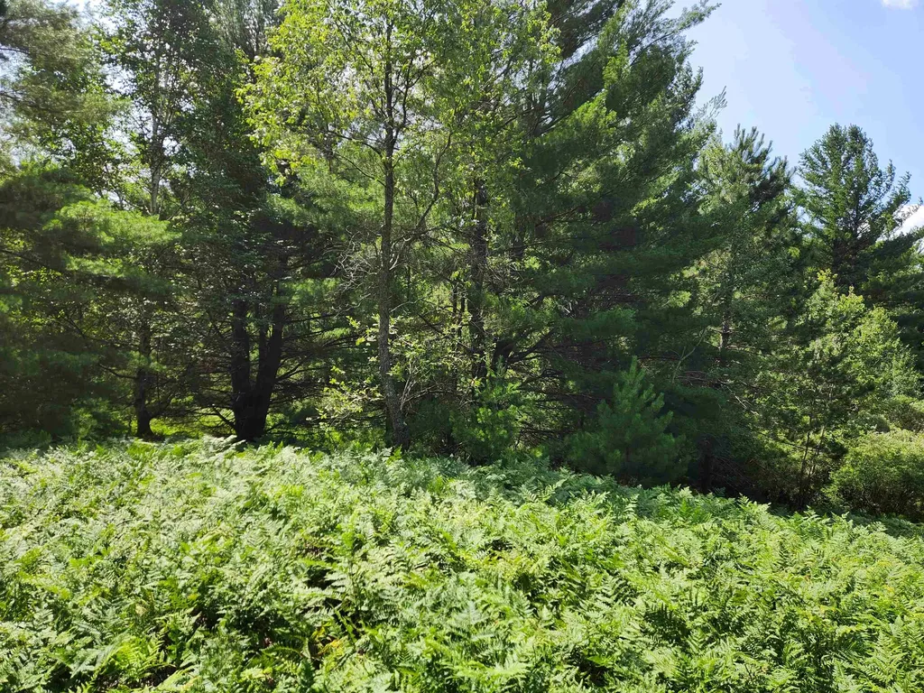 500 East Trail Orange Township MI 49646