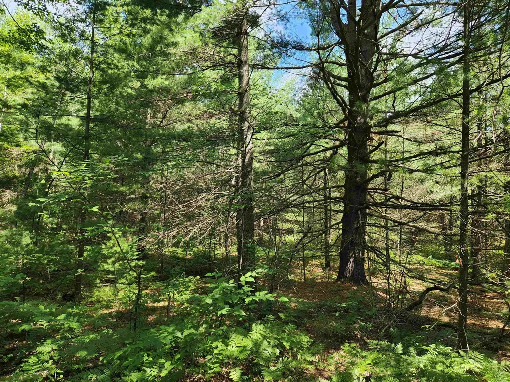 500 East Trail Orange Township MI 49646