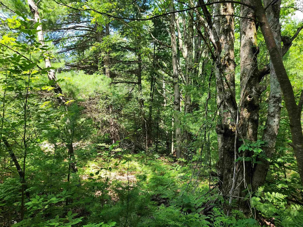 500 East Trail Orange Township MI 49646