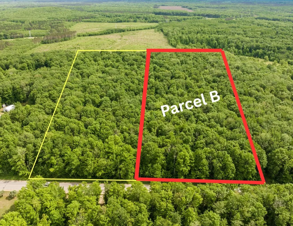 Parcel B Mancelona Road Mancelona Township MI 49659