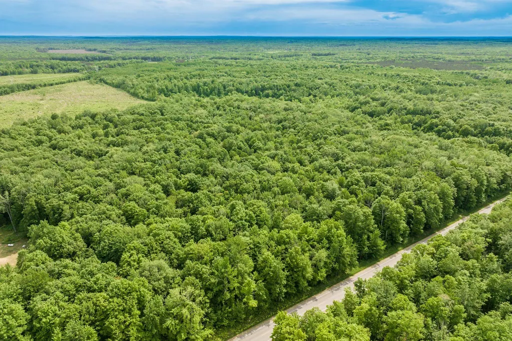 Parcel B Mancelona Road Mancelona Township MI 49659