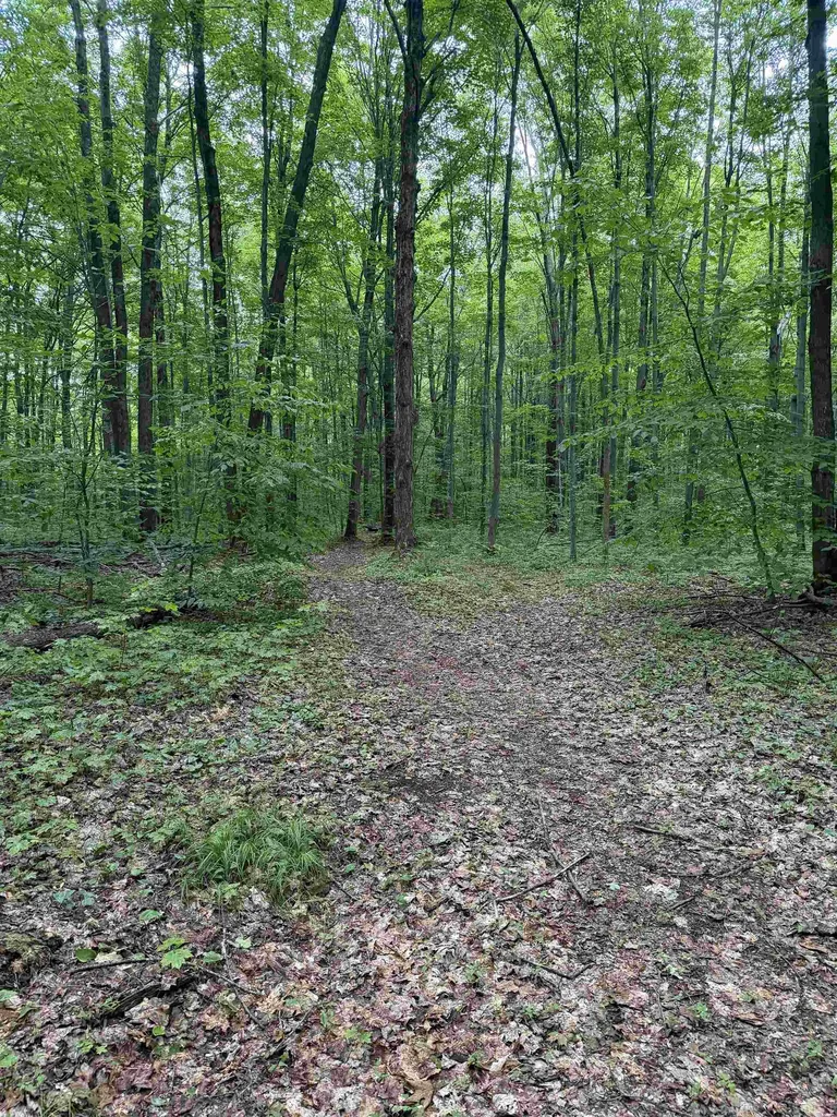 Parcel B Mancelona Road Mancelona Township MI 49659