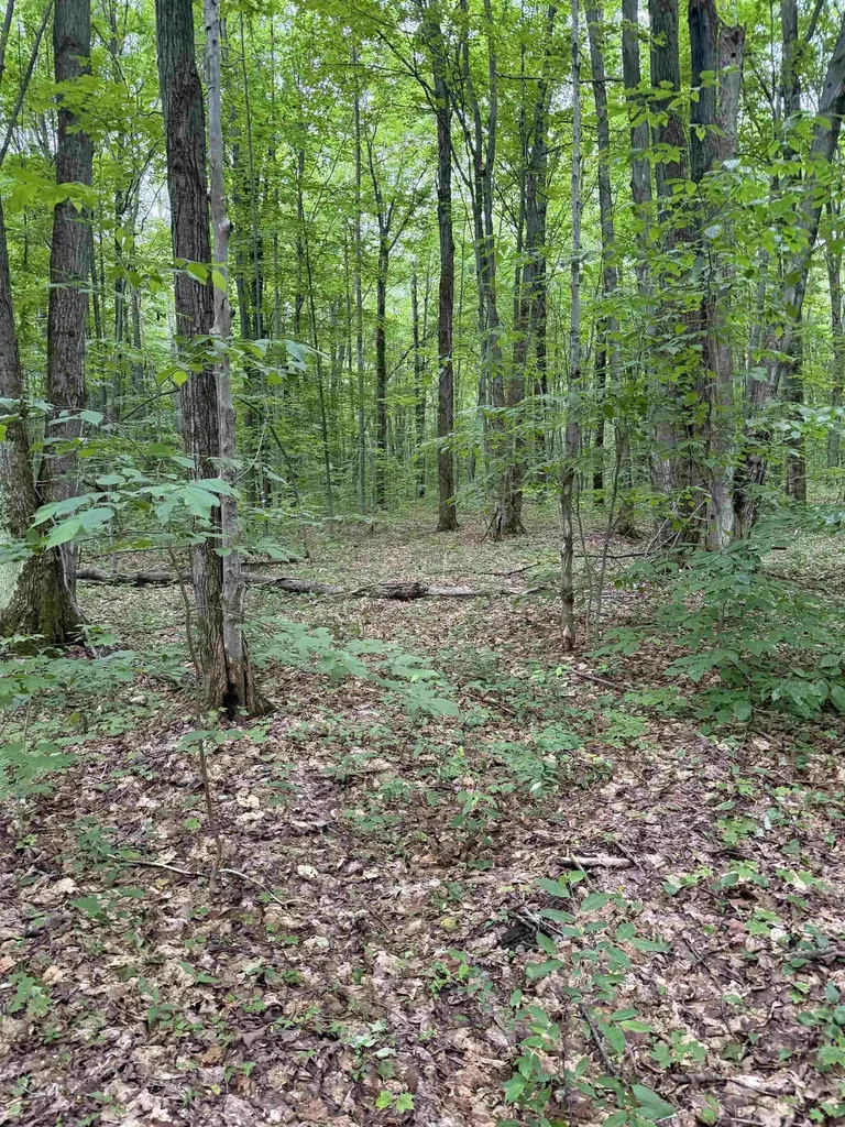Parcel B Mancelona Road Mancelona Township MI 49659