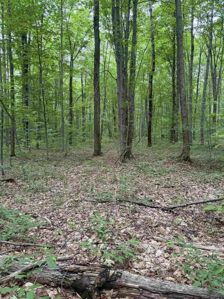 Parcel B Mancelona Road Mancelona Township MI 49659
