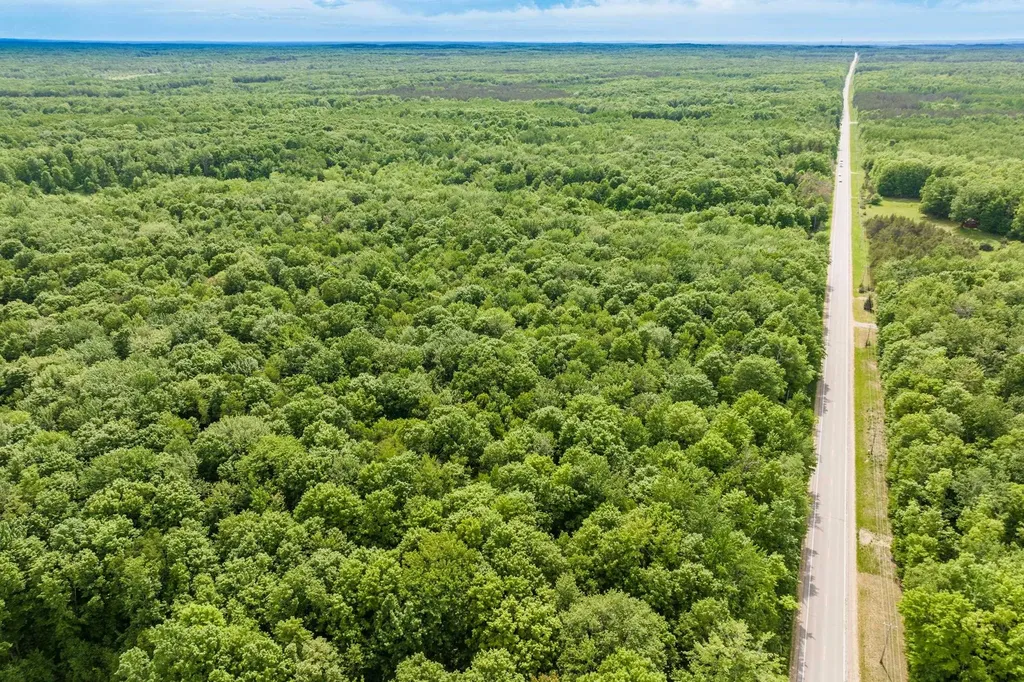 Parcel B Mancelona Road Mancelona Township MI 49659