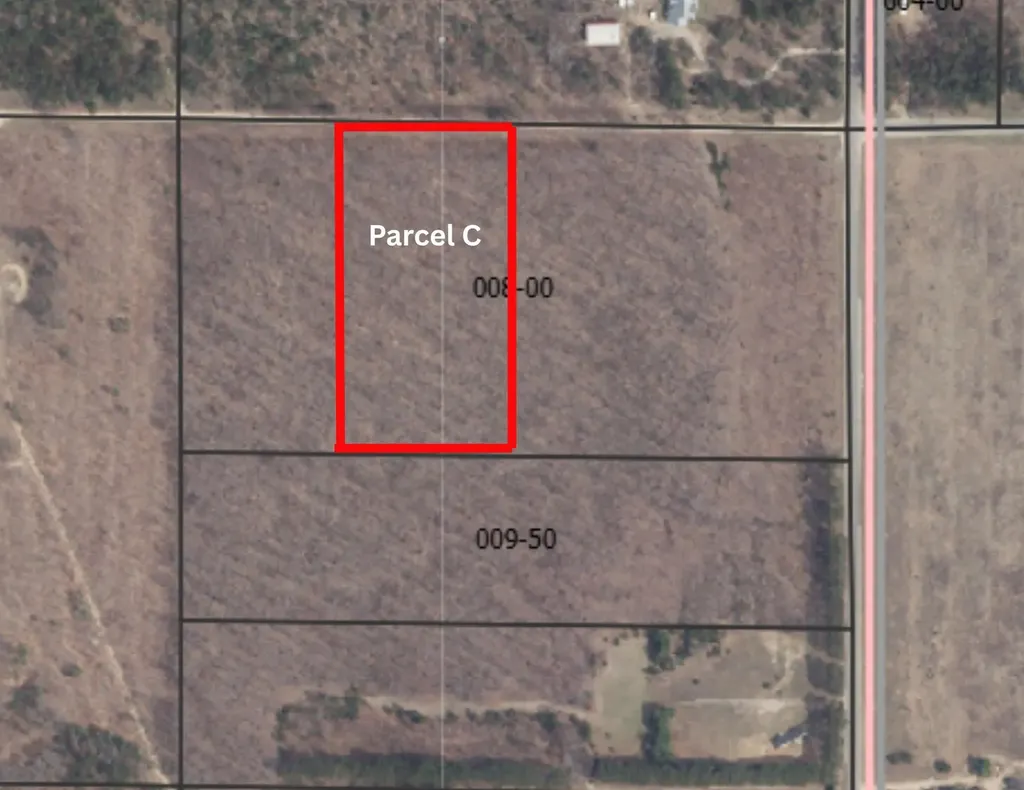 Parcel C Peterson Road Custer Township MI 49659